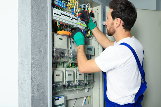 Best Electrical System Inspection  in Falconer, NY